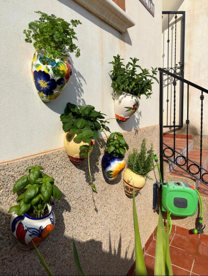 021 Casa Calida - Orihuela Costa Apartment Punta Prima  Ngoại thất bức ảnh